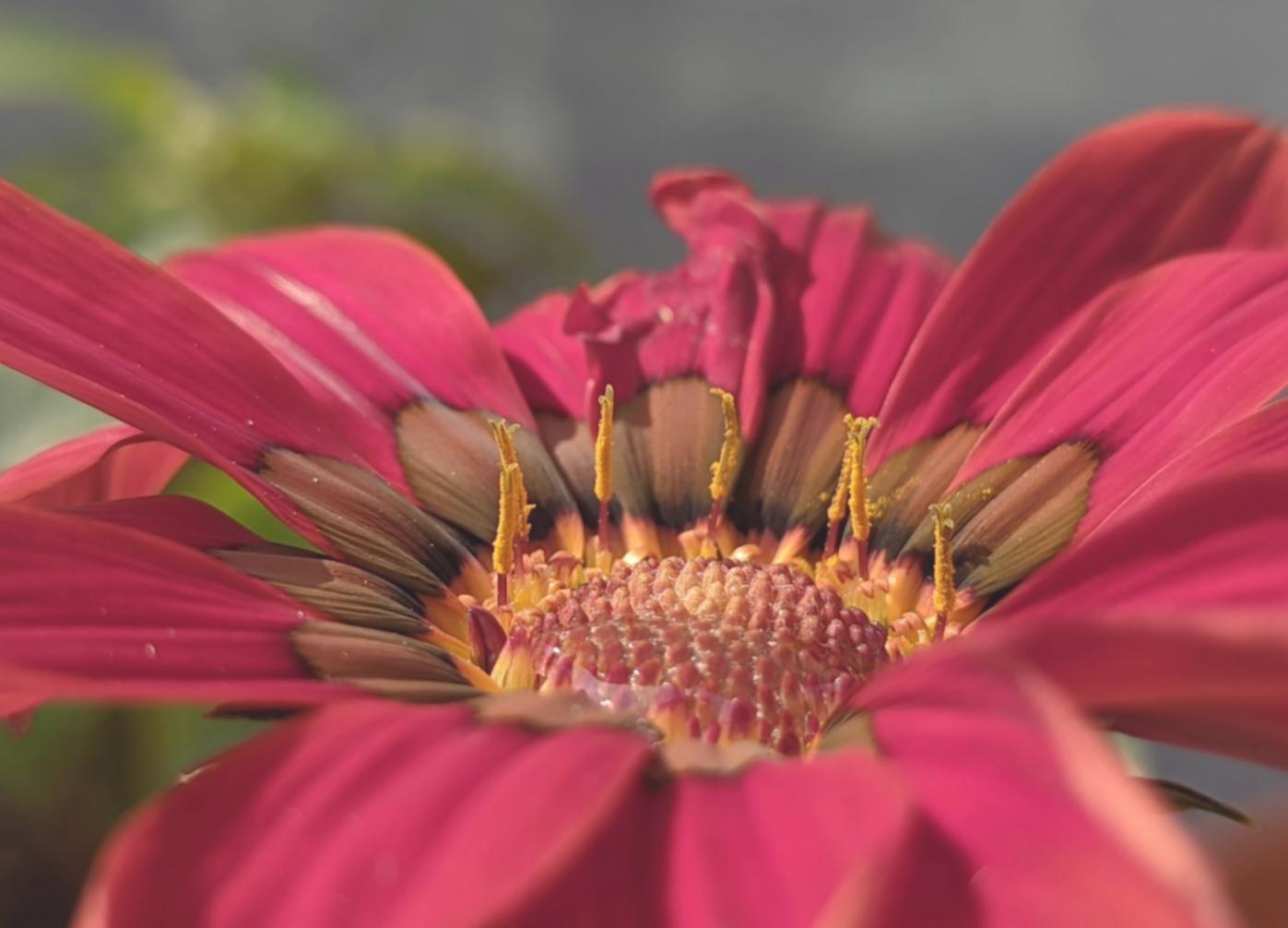 Dekorasi pernikahan elegan dengan bunga segar dan pencahayaan hangat